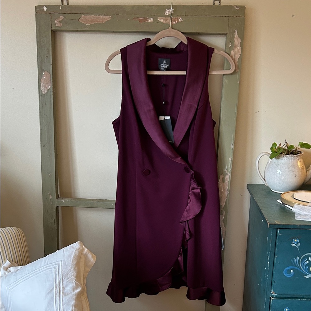 Adrianna Papell Asymmetrical Dress in Rich Burgundy
